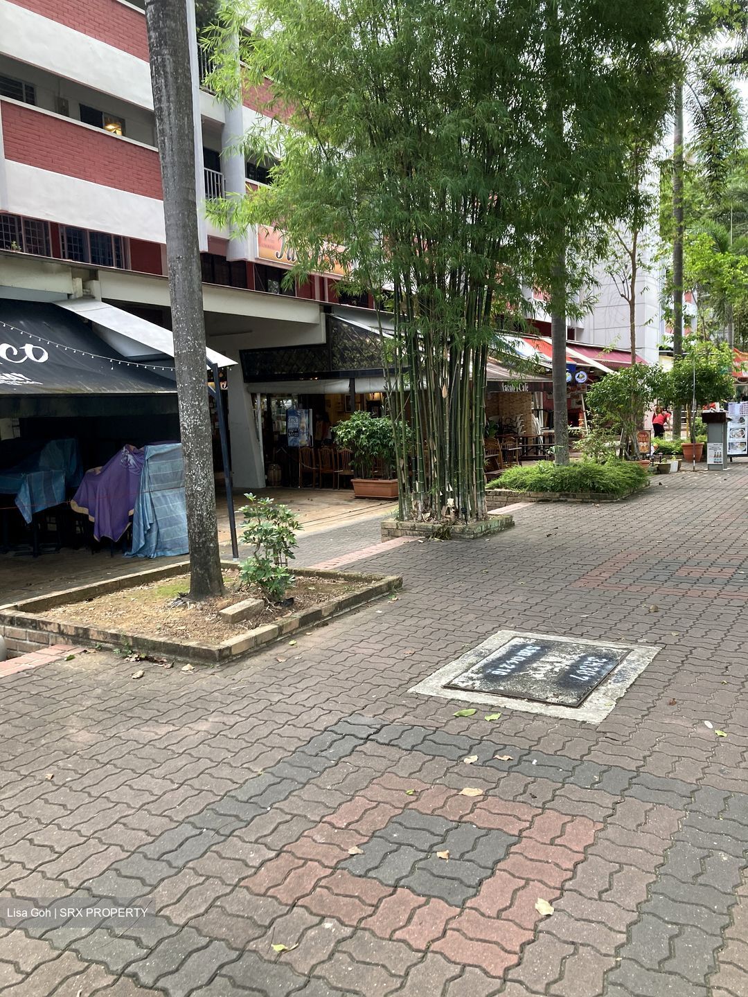 5 CHANGI VILLAGE ROAD (D17), Shop House #522316511